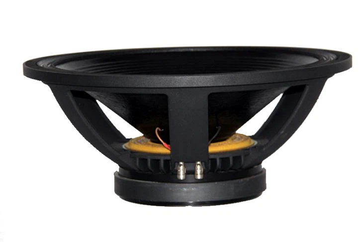 18inch 1000W PA Speaker