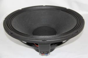 Altaveus Subwoofer18 polzades NEO Magnet Pro Audio